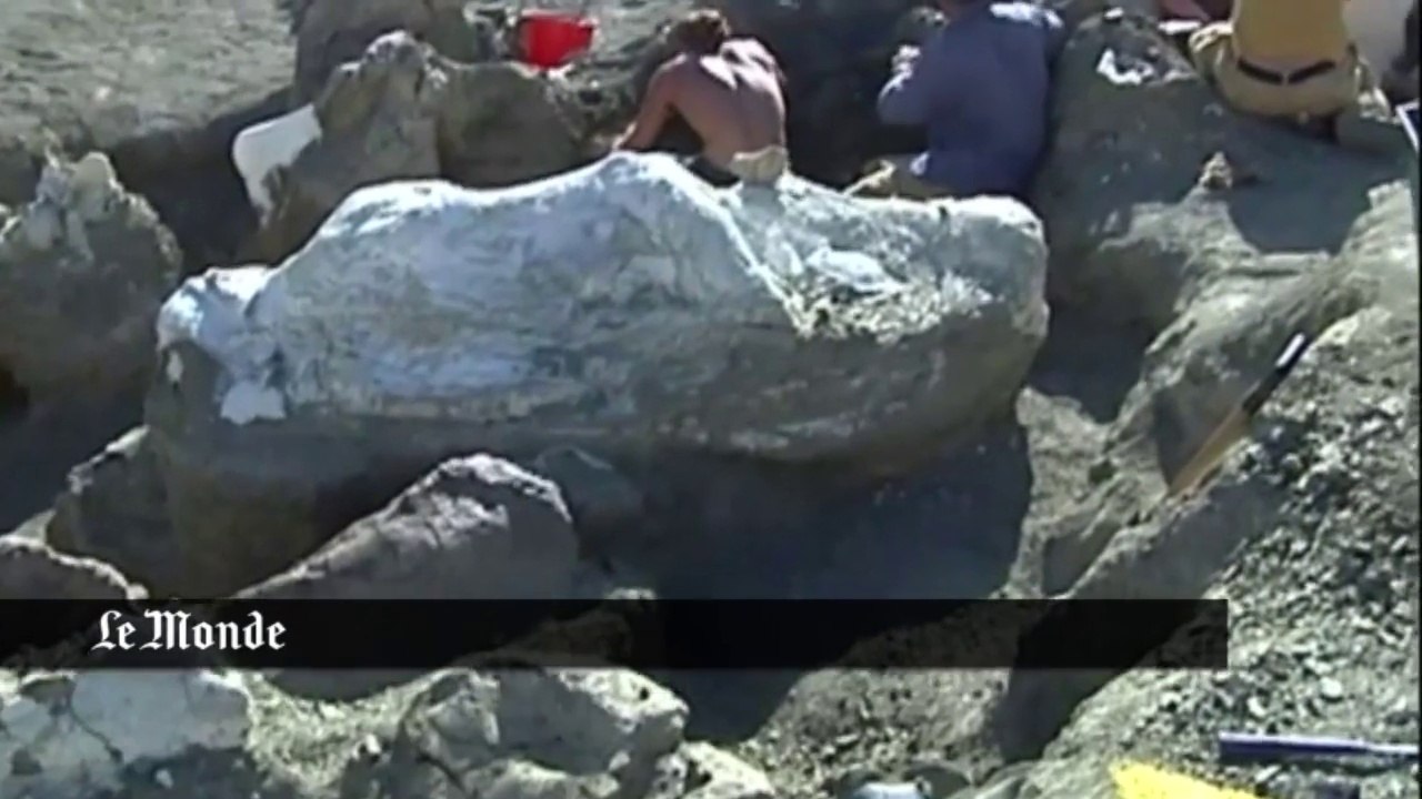 Le plus gros dinosaure jamais découvert aurait été trouvé en Argentine