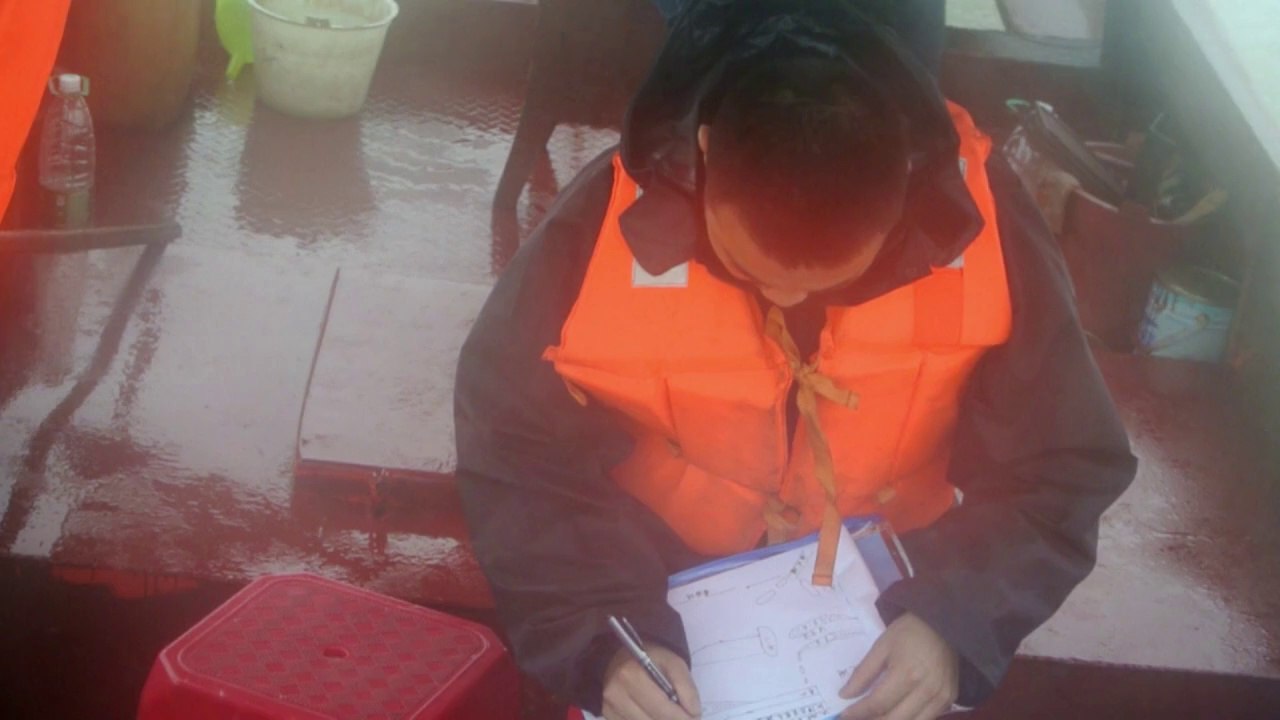 Kampf um die letzten Jangtse-Schweinswale