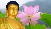 Namo Amitabha Buddha - Nam Mo A Di Da Phat - Vietnamese Zither HD 1080p