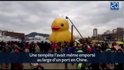 Un lapin blanc de 25 mètres à Taiwan