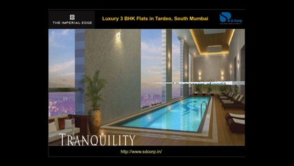 Luxury 3 BHK Flats in Tardeo, South Mumbai