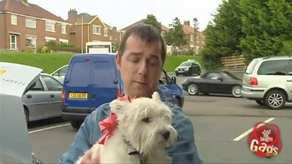 Dog In Garbage Truck_Funny Sexy Cam Gag Laugh Prank