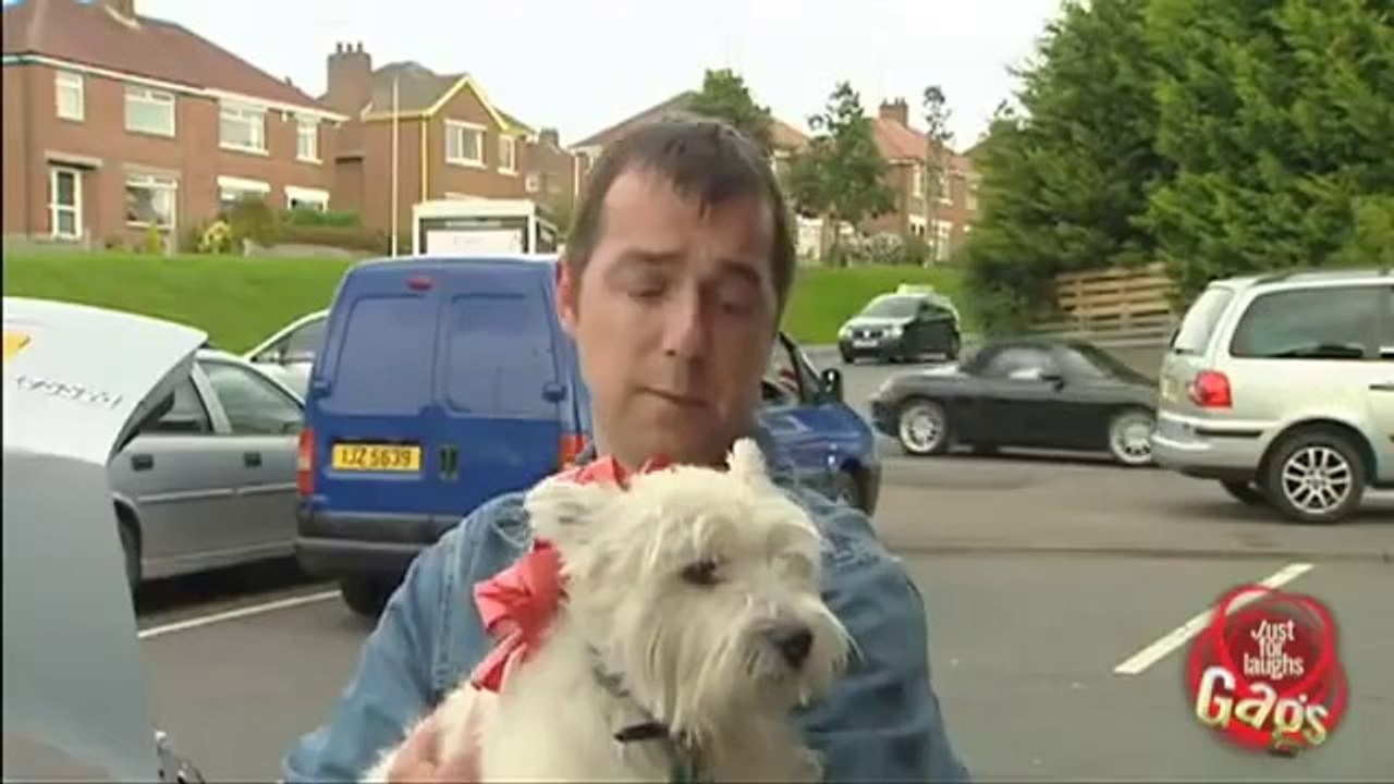 Dog In Garbage Truck_Funny Sexy Cam Gag Laugh Prank