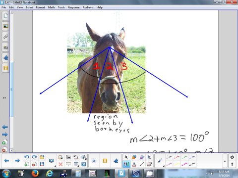 1.4 Angles & Their Measures 9-5-14