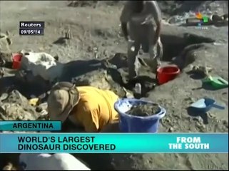 World's largest dinosaur discovered in Argentina