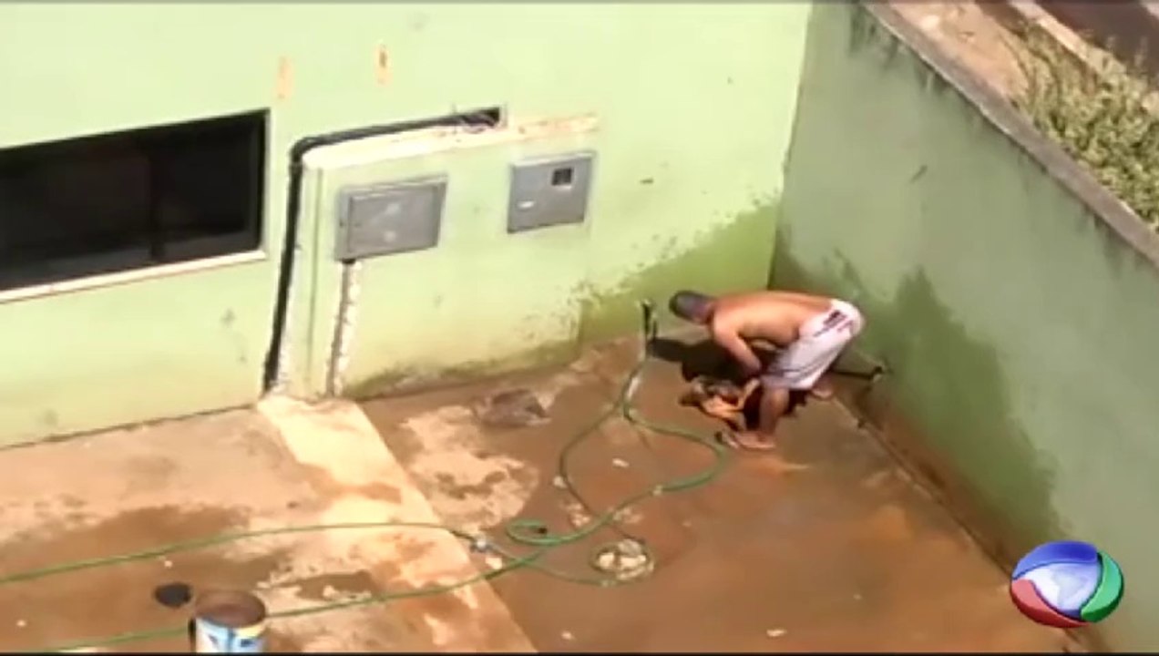 Funcionário maltrata cachorro