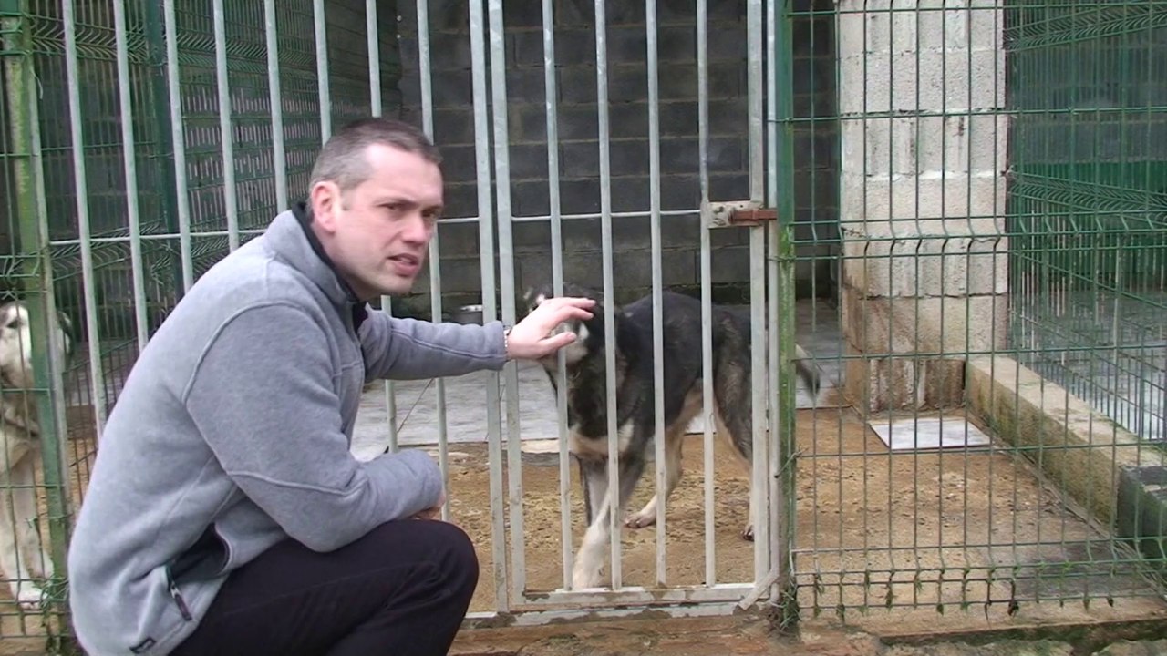 2008.01 Norrland Husky
