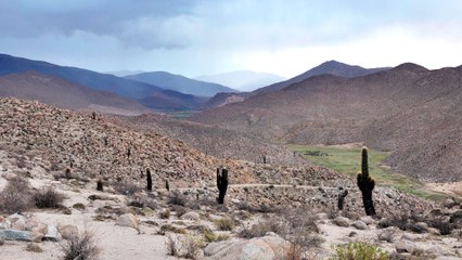 (Salta a la Vista) El Camino del Inca, declarado Patrimonio Mundial por la UNESCO