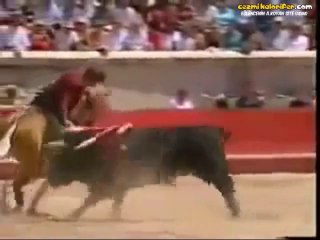 Boğayı Ronaldo Gibi Çalımlayan At