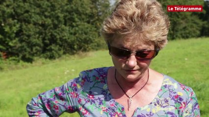 Douarnenez. C'est aussi la rentrée des chiens !