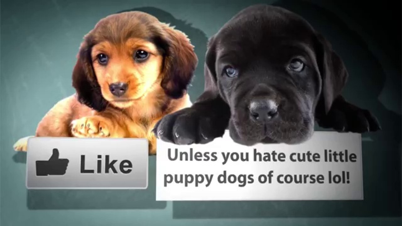 Itunes 11 Tutorial - How To Sync Songs To Your iPhone, iPad or iPod