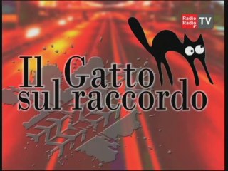 il gatto sul raccordo - 05 settembre 2014 parte 1