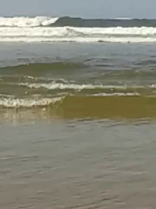 Akhfanir Sea