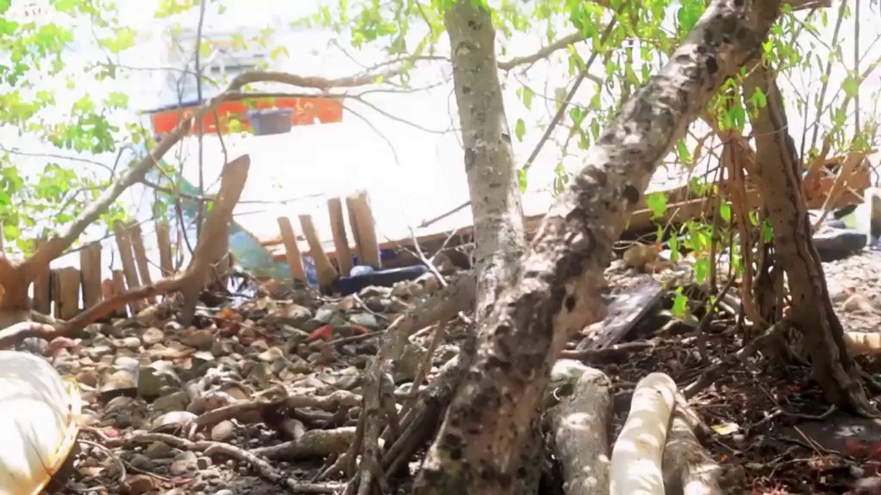 LYLOO - Se pa pou ayen / SINGLE / 2014 / MARTINIQUE / Réal - GO PROD / www.ruemusique.tv