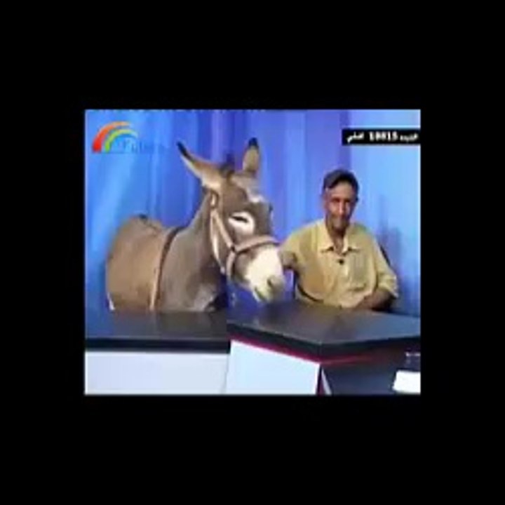 فضائية أردنية تستضيف “حمارا
