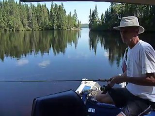 McTavish-vid14a Overview