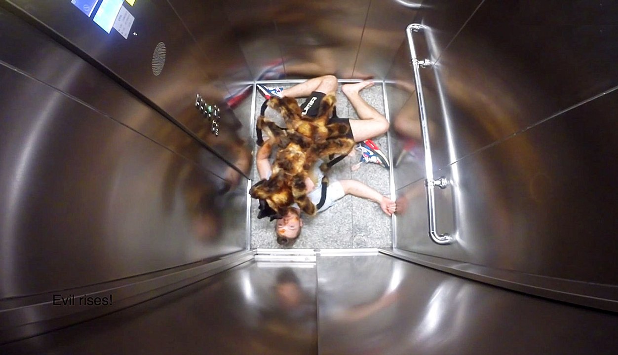 HILARIOUS SPIDER DOG PRANK! | What's Trending Now!