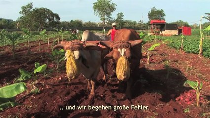 Official Trailer - Voices of Transition - deutsch