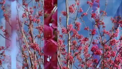 Law of attraction and relationdships - Abraham