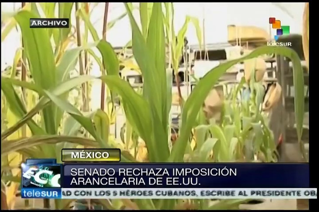 México: Senado pide defender exportación azucarera