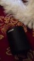 Mpow® Cannon Portable Wireless Bluetooth 4.0 Mini Speaker Review
