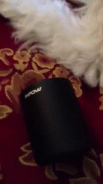 Mpow® Cannon Portable Wireless Bluetooth 4.0 Mini Speaker Review