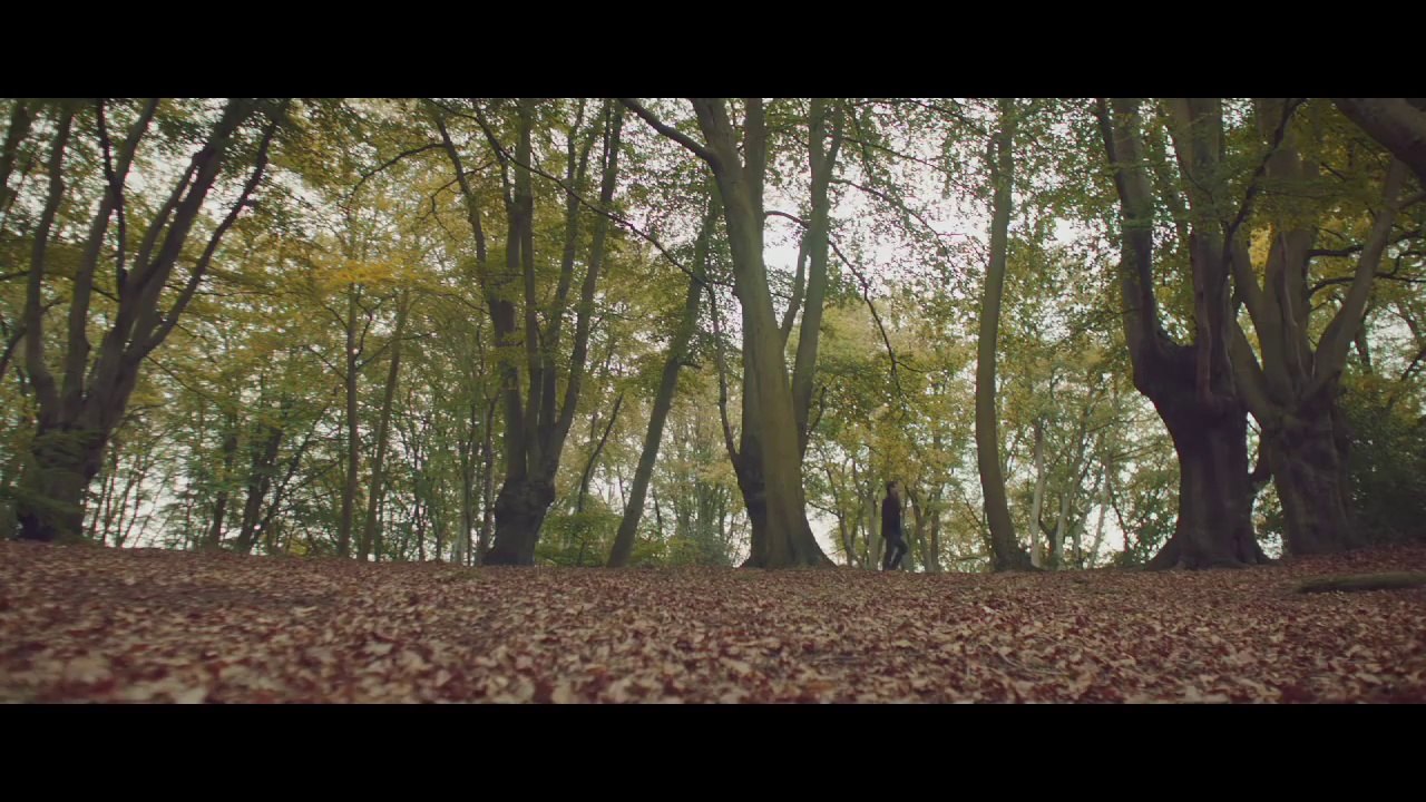 Gallop