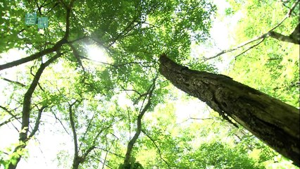 숨 터.E02.주산지.140904