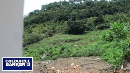 Mountain View Home Sale Barranquitas Puerto Rico