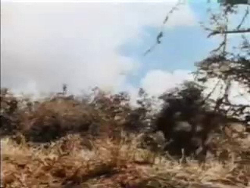 Tarzan (1966 TV)