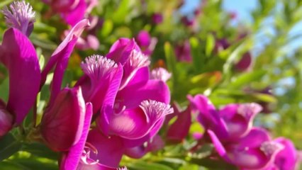 moving vibration out of the vortex  into it