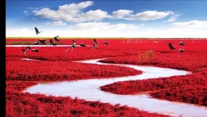 Unbelievable Places that are Hard to Believe Really Exist 2014