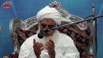 Molana Abdul Hafeez Makki Gives Khilafat to Molana Ilyas Ghuman