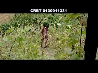 Deuralima Dhaja By Purusotam Neupane and Bima Kumari Dura