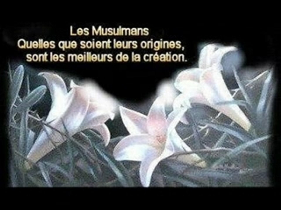 La ilaha ila allah(2)