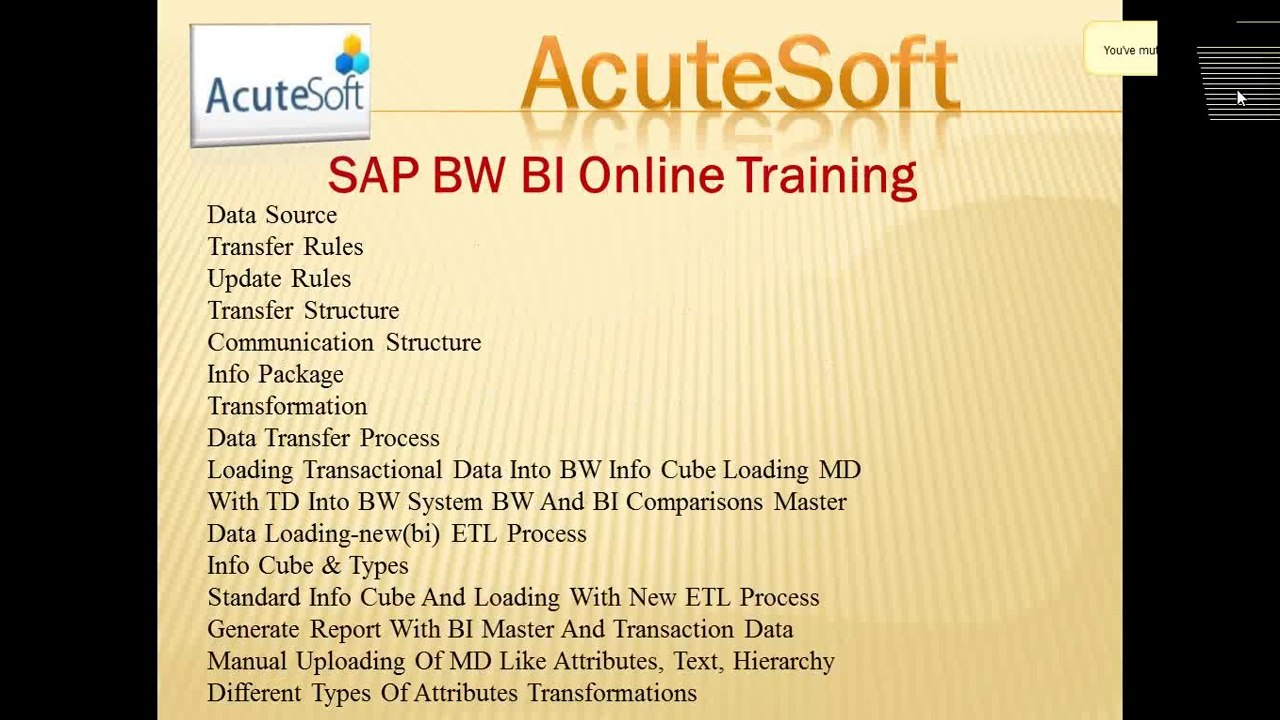 Quality of SAP BI Online Training