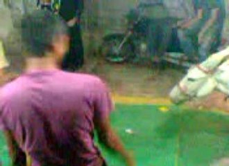 Video0086
