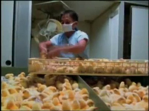 bienêtreaujus animaux TERRIENS 1_2 Earthlings