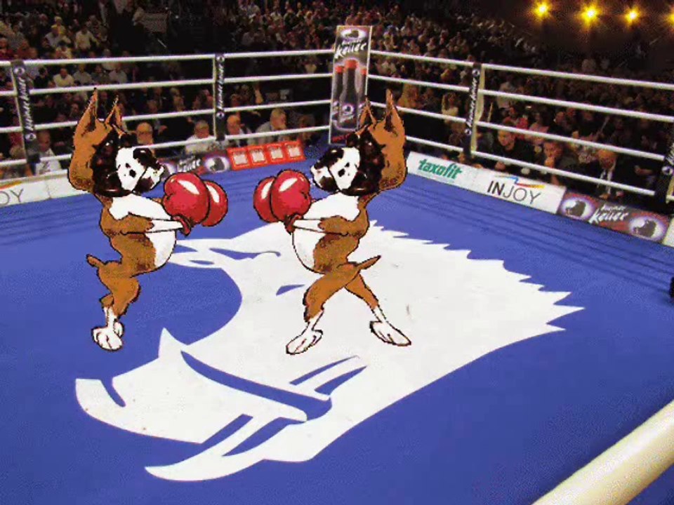 KLAUS & KLAUS ......... Der Boxer