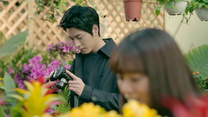 Её прекрасные каблучки (8 из 10)