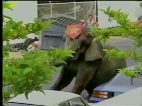 bienêtreaujus animaux TERRIENS 2_2 Earthlings