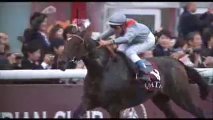 Qatar Prix de l'Arc de Triomphe 2013 - Trêve