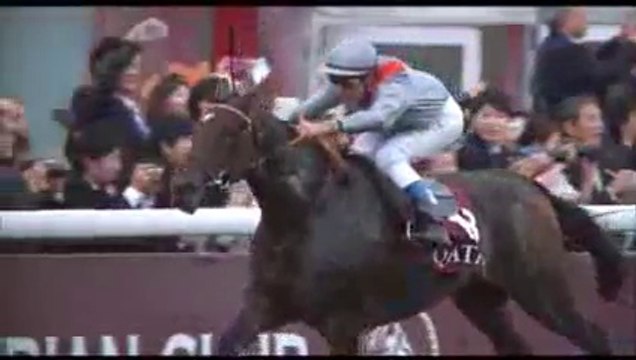 Qatar Prix de l'Arc de Triomphe 2013 - Trêve