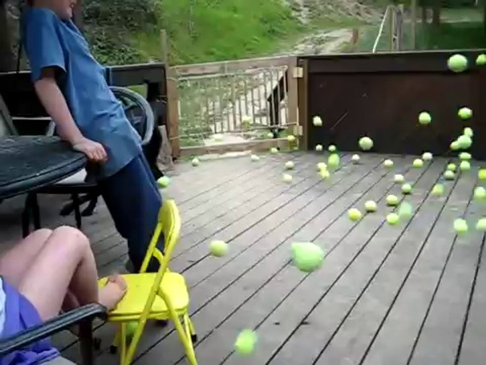 Dog's Dream comes true