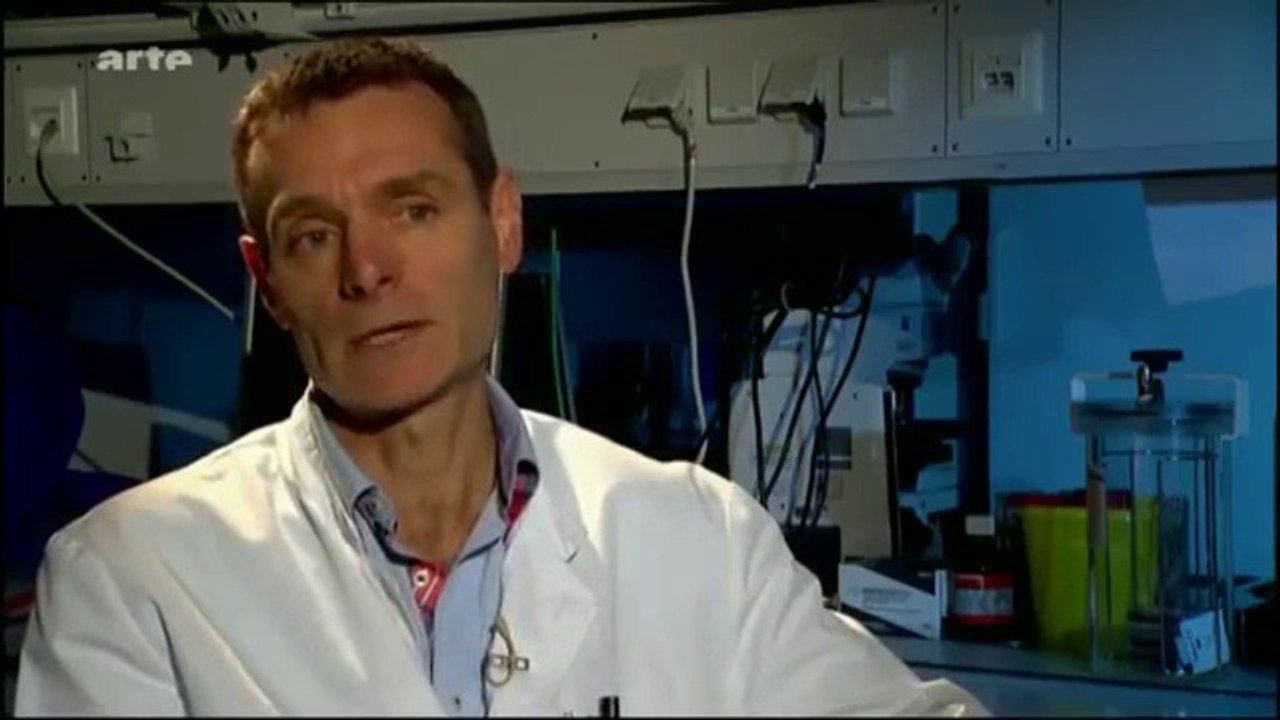 bienêtreaujus animaux Doit on encore 1_3 manger de la viande