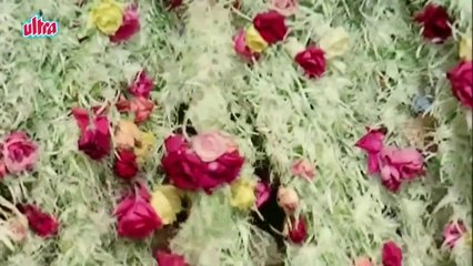 Maine Puchha Chand Se - Mohammed Rafi, Sanjay Khan, Zeenat, Abdullah Song (k)