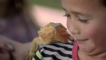 Get Going With Airpoints