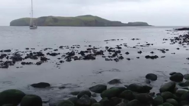 Andree Anne Rachel 2014: Video du mouvement fantomatique des algues sur un air halloweenien et non hollywoodien!