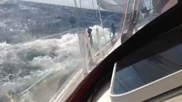 Andree Anne Rachel 2014: Video démontrant les mouvements d'Andrée Anne Rachel sur l'eau!