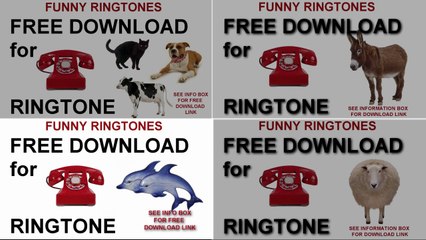 Funny Ringtone Compilation No1